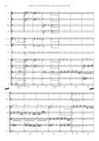 Symphony nº5 (first movement) - Score Only Full Orchestra scores gallery preview page 4