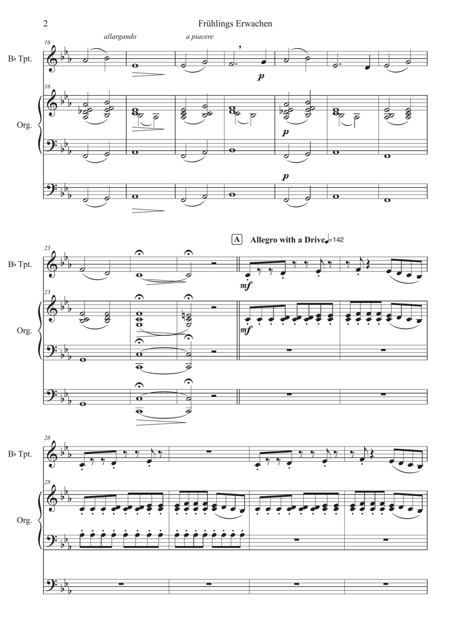 Spring Awakening ( Frühlings Erwachen ) B-Flat Trumpet scores gallery preview page 2
