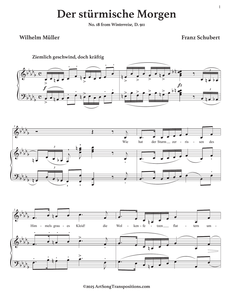 SCHUBERT: Der stürmische Morgen, D. 911 no. 18 (transposed to B-flat minor) Piano, Vocal scores gallery preview page 2