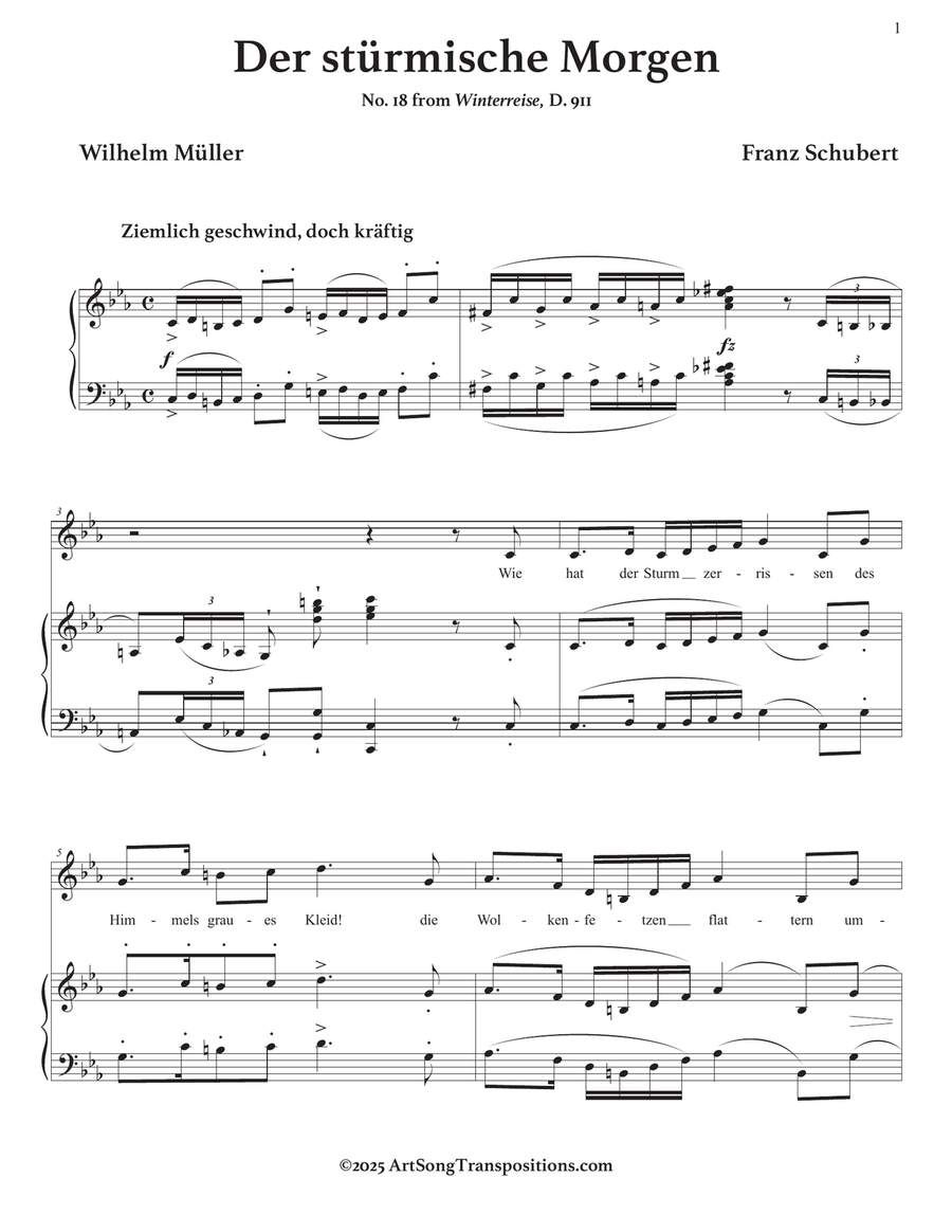 SCHUBERT: Der stürmische Morgen, D. 911 no. 18 (transposed to C minor) Piano, Vocal scores gallery preview page 2