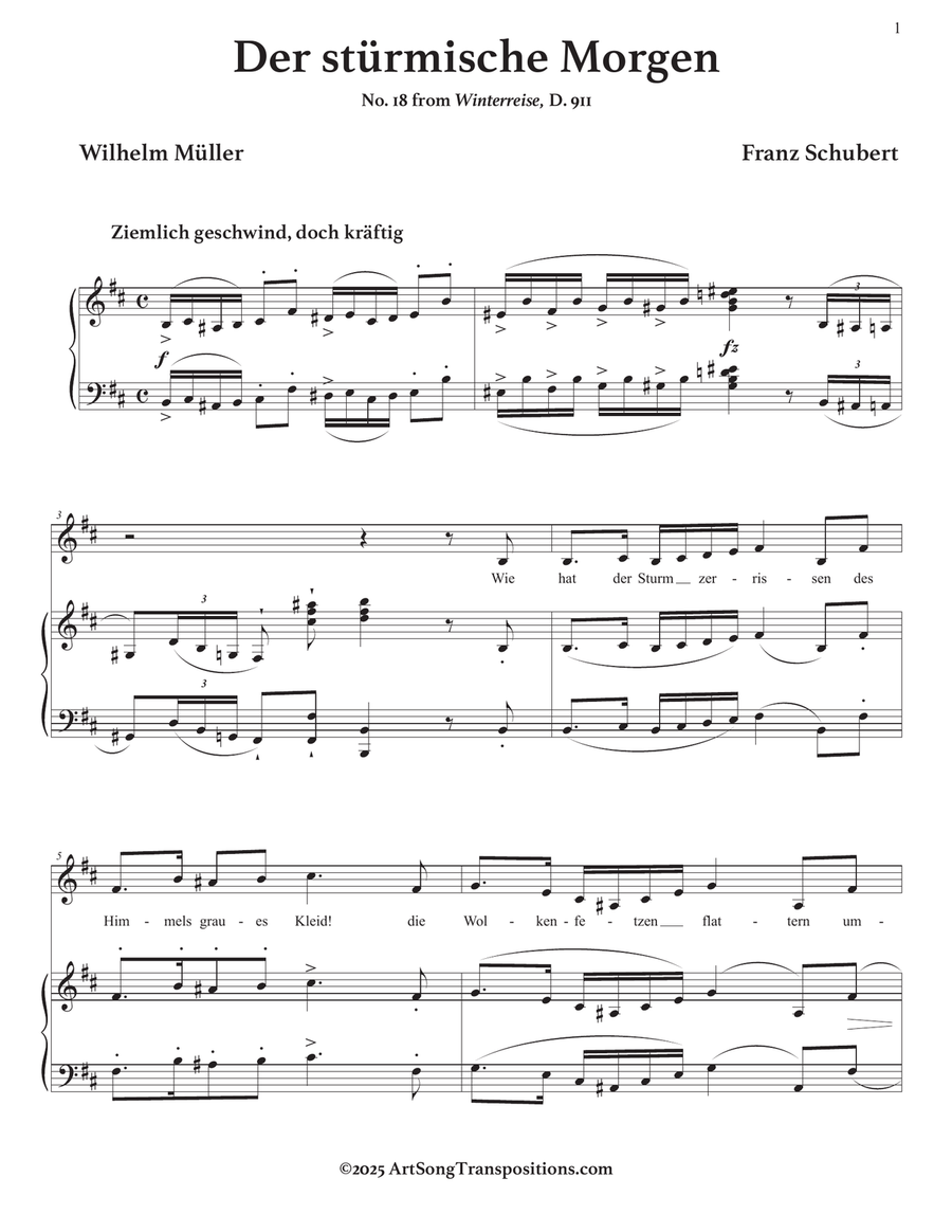 SCHUBERT: Der stürmische Morgen, D. 911 no. 18 (transposed to B minor) Piano, Vocal scores gallery preview page 2