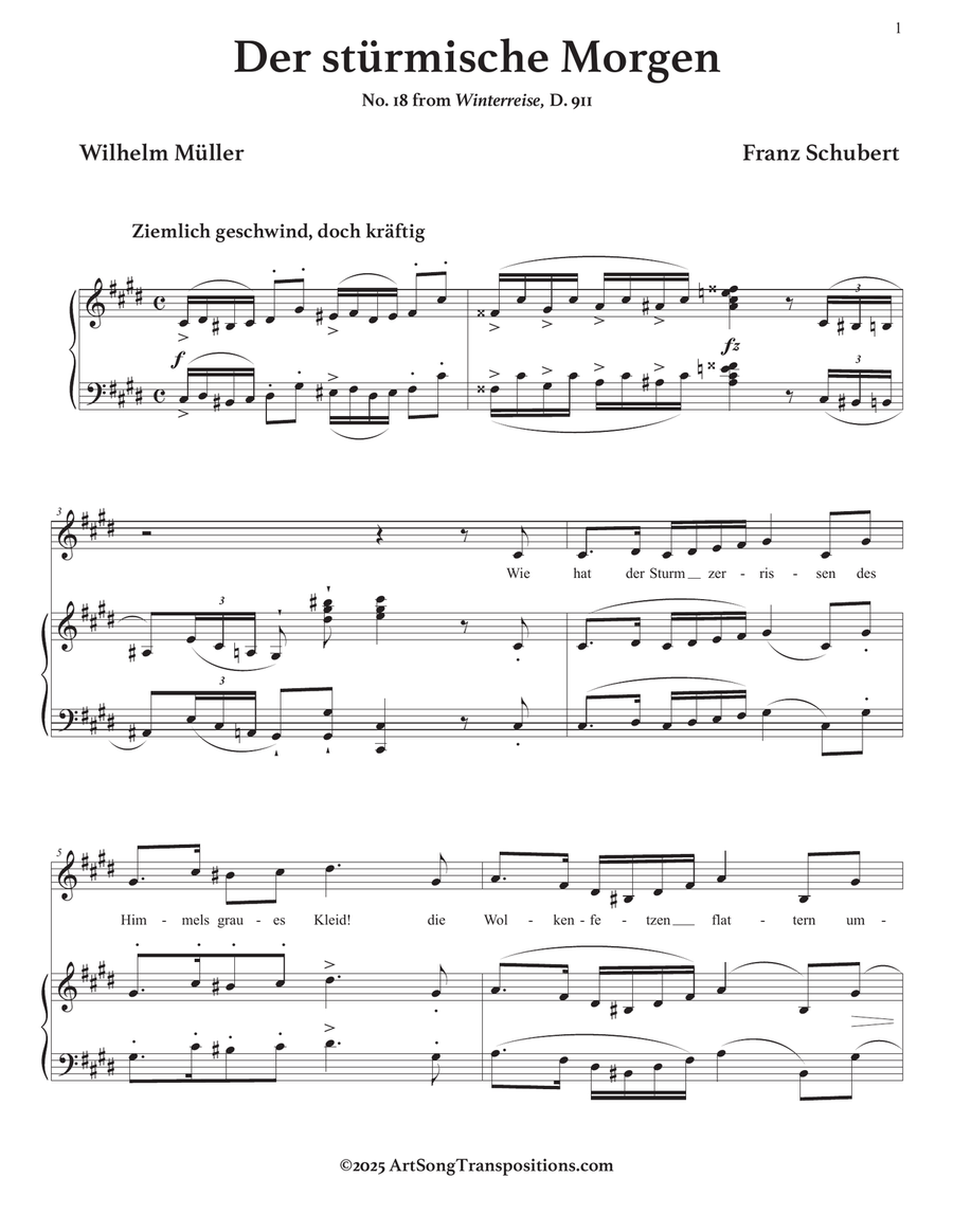 SCHUBERT: Der stürmische Morgen, D. 911 no. 18 (transposed to C-sharp minor) Piano, Vocal scores gallery preview page 2