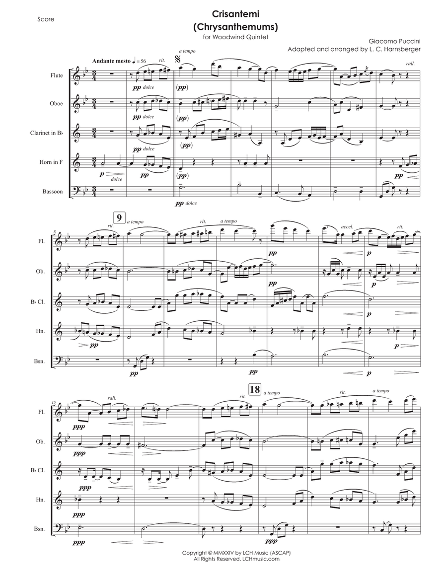 Crisantemi (Chrysanthemums) arr. for Woodwind Quintet Woodwind Quintet scores gallery preview page 5