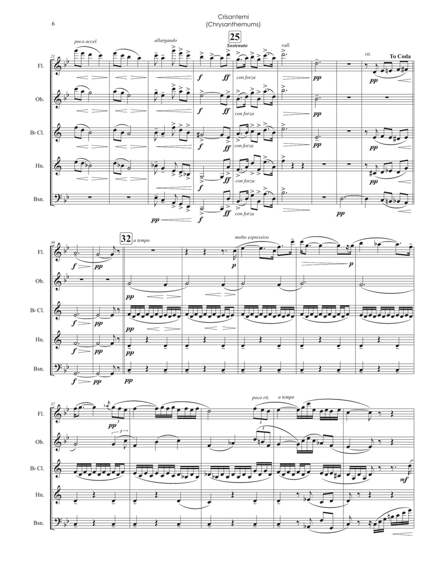 Crisantemi (Chrysanthemums) arr. for Woodwind Quintet Woodwind Quintet scores gallery preview page 6