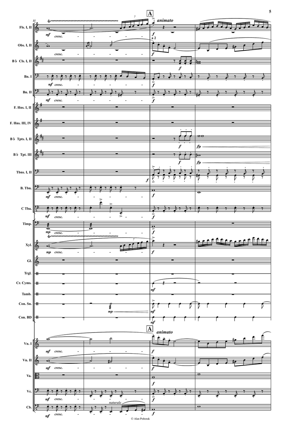 A Theme for the Broomstick Full Orchestra scores gallery preview page 5