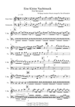 Eine Kleine Nachtmusik (1st Movement) for Tenor Horn and Cello Duet