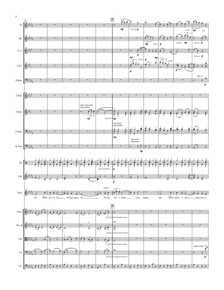 Solitude Solitude Chamber Orchestra scores gallery preview page 2