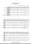 Moonlight Sonata (1st movement) for Beginner and Advanced Clarinet Quartet