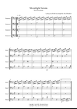 Moonlight Sonata for (1st movement) for Beginner and Advanced Bassoon Quartet