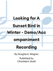Looking for A Sunset Bird in Winter - Demo/Accompaniment Recording