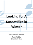 Looking for A Sunset Bird in Winter