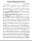 Rossini - Variations for clarinet and small orchestra