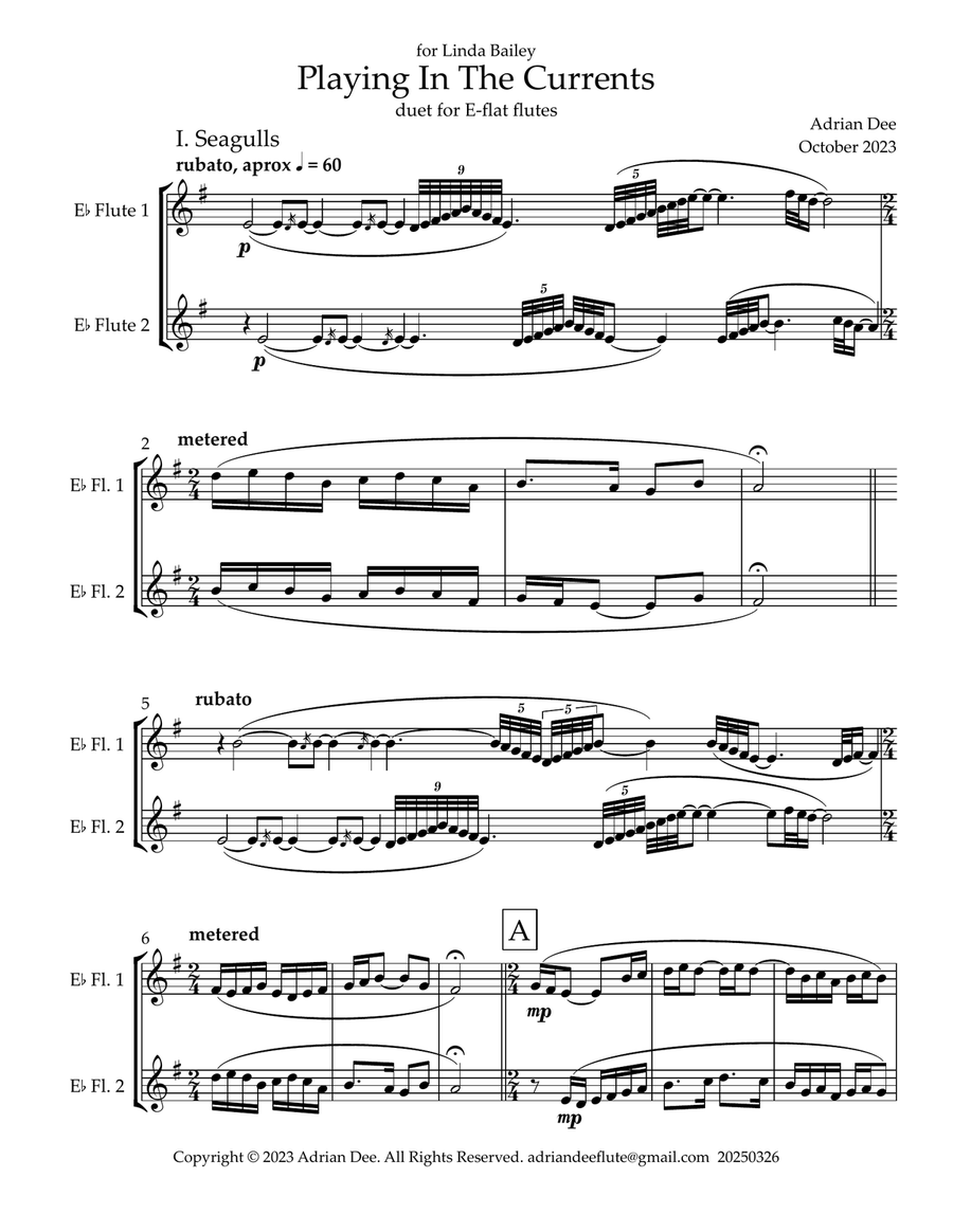 Playing in the Currents Flute Duet scores gallery preview page 3