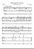 Petit caprice en échos (Little whim in echoes)
