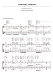 Tchaikovsky : Swan Lake [for solo acoustic guitar]