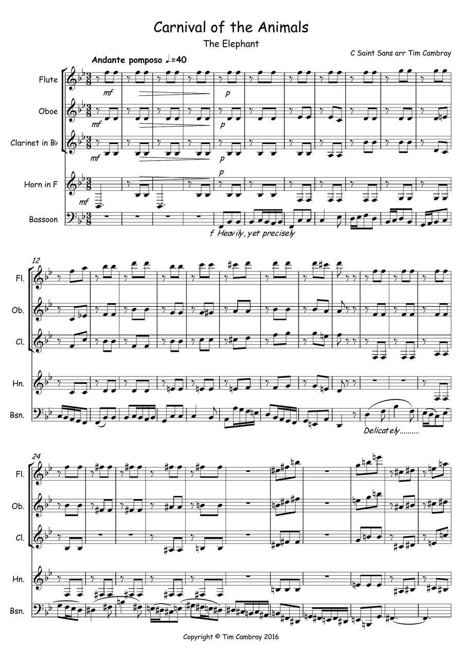 The Elephant (from Carnival oif the Animals) Woodwind Quintet scores gallery preview page 1