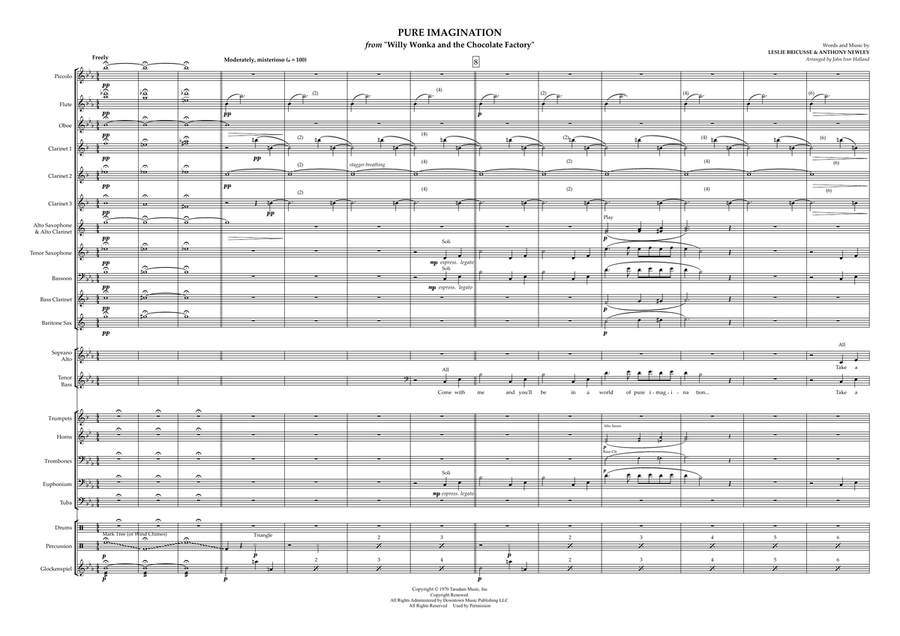 Pure Imagination Pure Imagination Concert Band scores gallery preview page 1