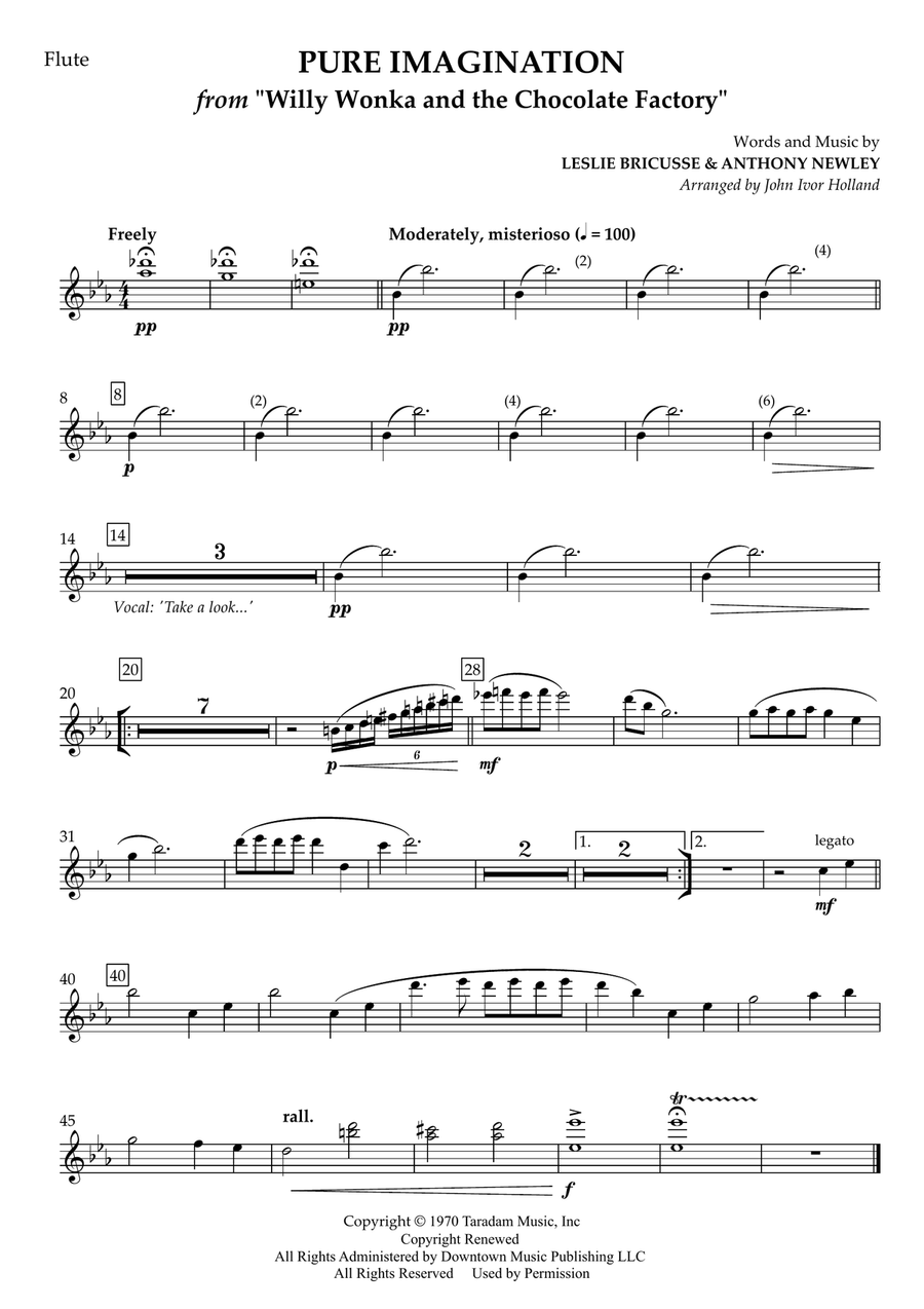 Pure Imagination Pure Imagination Concert Band scores gallery preview page 6