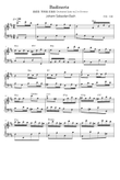 Badinerie - Johann Sebastian Bach