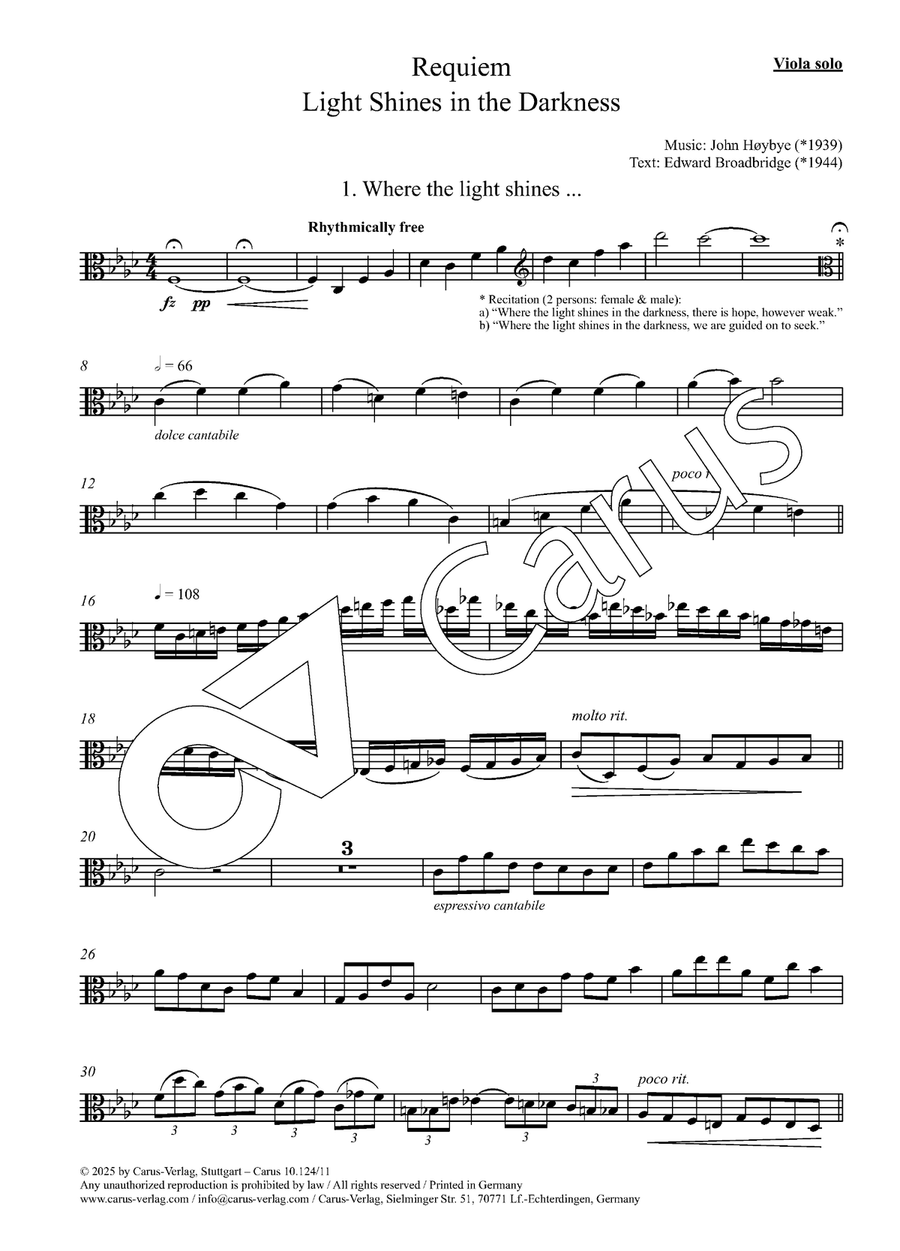 Light Shines in the Darkness - Viola solo Viola Solo scores gallery preview page 3