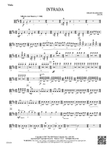 Intrada: Viola