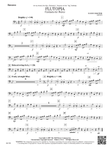 Flutopia (Fantasia for Flutes): Bassoon