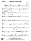 Lost Woods Fantasy: Vibraphone