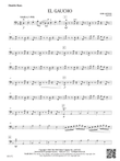 El Gaucho: Double Bass