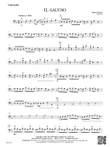 El Gaucho: Violoncello