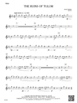 The Ruins of Tulum: Oboe