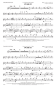 Push It: Flute