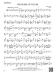 The Ruins of Tulum: Percussion 2