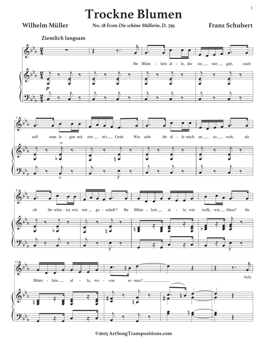SCHUBERT: Trockne Blumen, D. 795 no. 18 (transposed to C minor) Piano, Vocal scores gallery preview page 2
