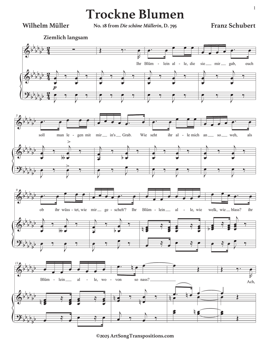 SCHUBERT: Trockne Blumen, D. 795 no. 18 (transposed to E-flat minor) Piano, Vocal scores gallery preview page 2