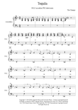 Tequila (SOLO accordion PRO)