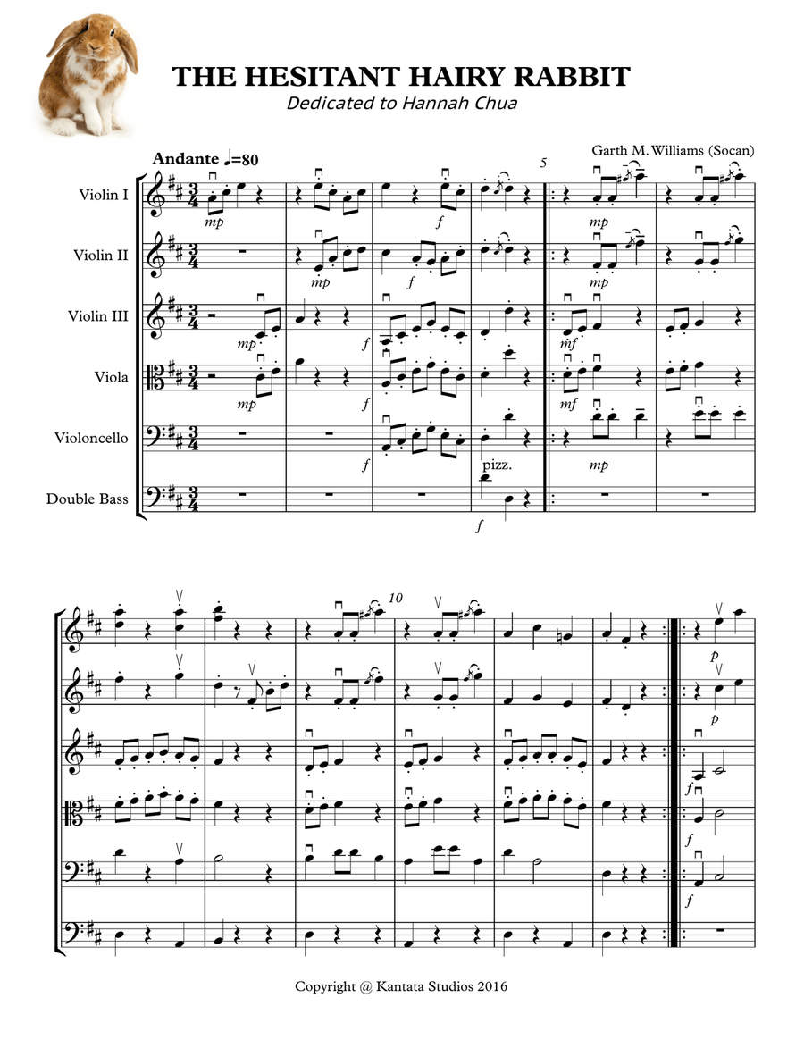 THE HESITANT HAIRY RABBIT FOR STRING ORCHESTRA Chamber Music scores gallery preview page 1
