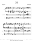 Viol