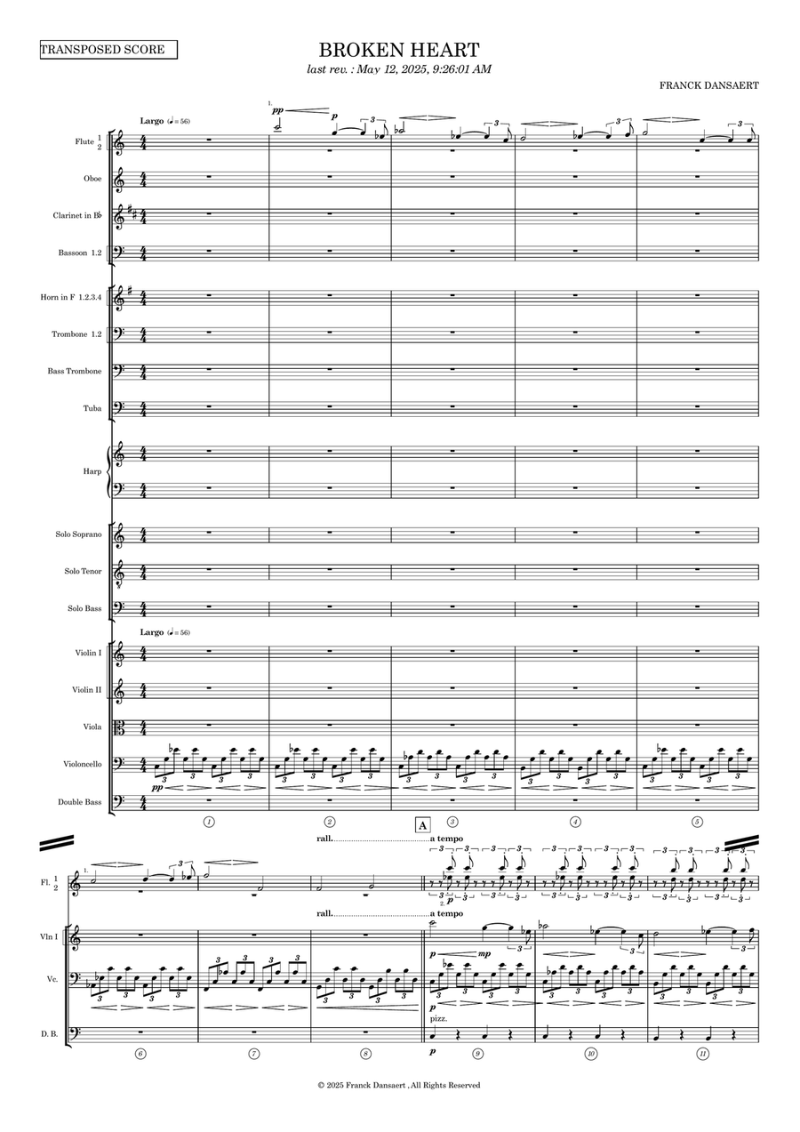 Broken Heart - Score Only Full Orchestra scores gallery preview page 2