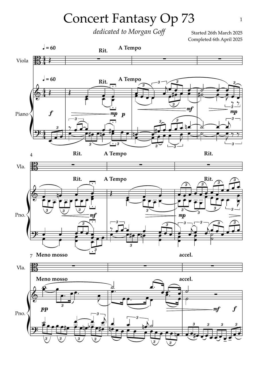 Viola Fantasy Op 73 - Solo Viola plus Piano Reduction part. Chamber Music scores gallery preview page 3