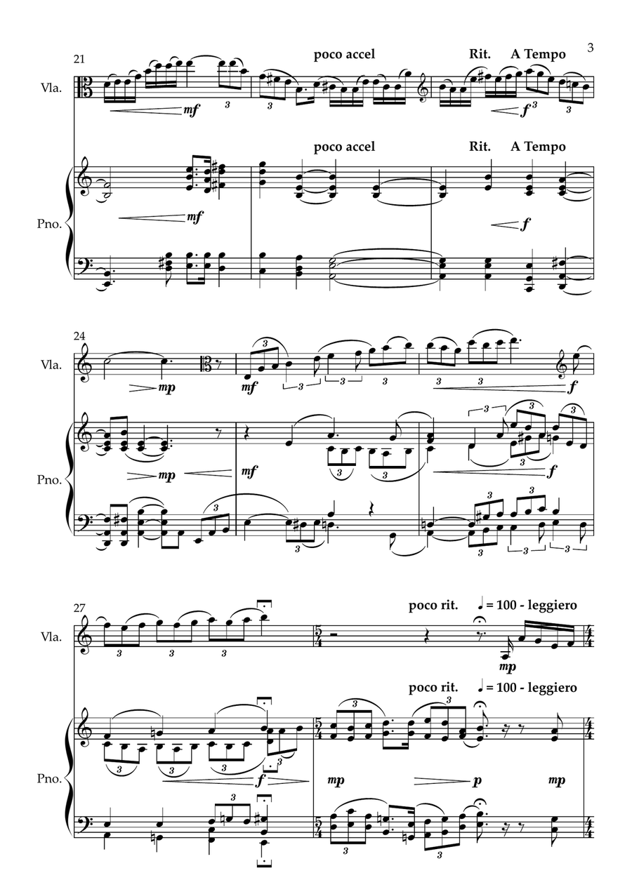 Viola Fantasy Op 73 - Solo Viola plus Piano Reduction part. Chamber Music scores gallery preview page 5
