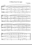 G Minor Score for organ