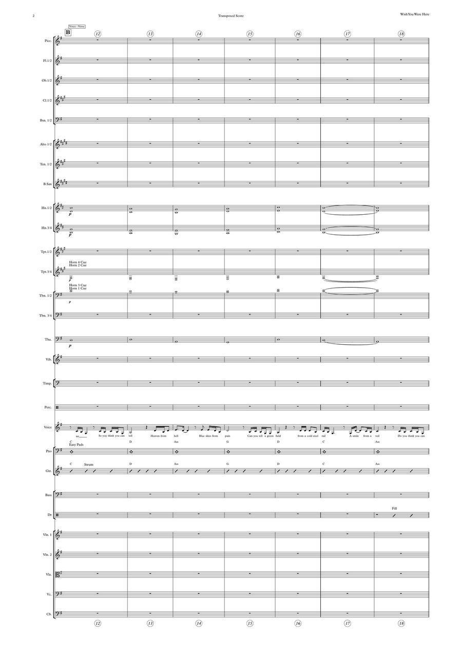 Wish You Were Here Full Orchestra scores gallery preview page 2