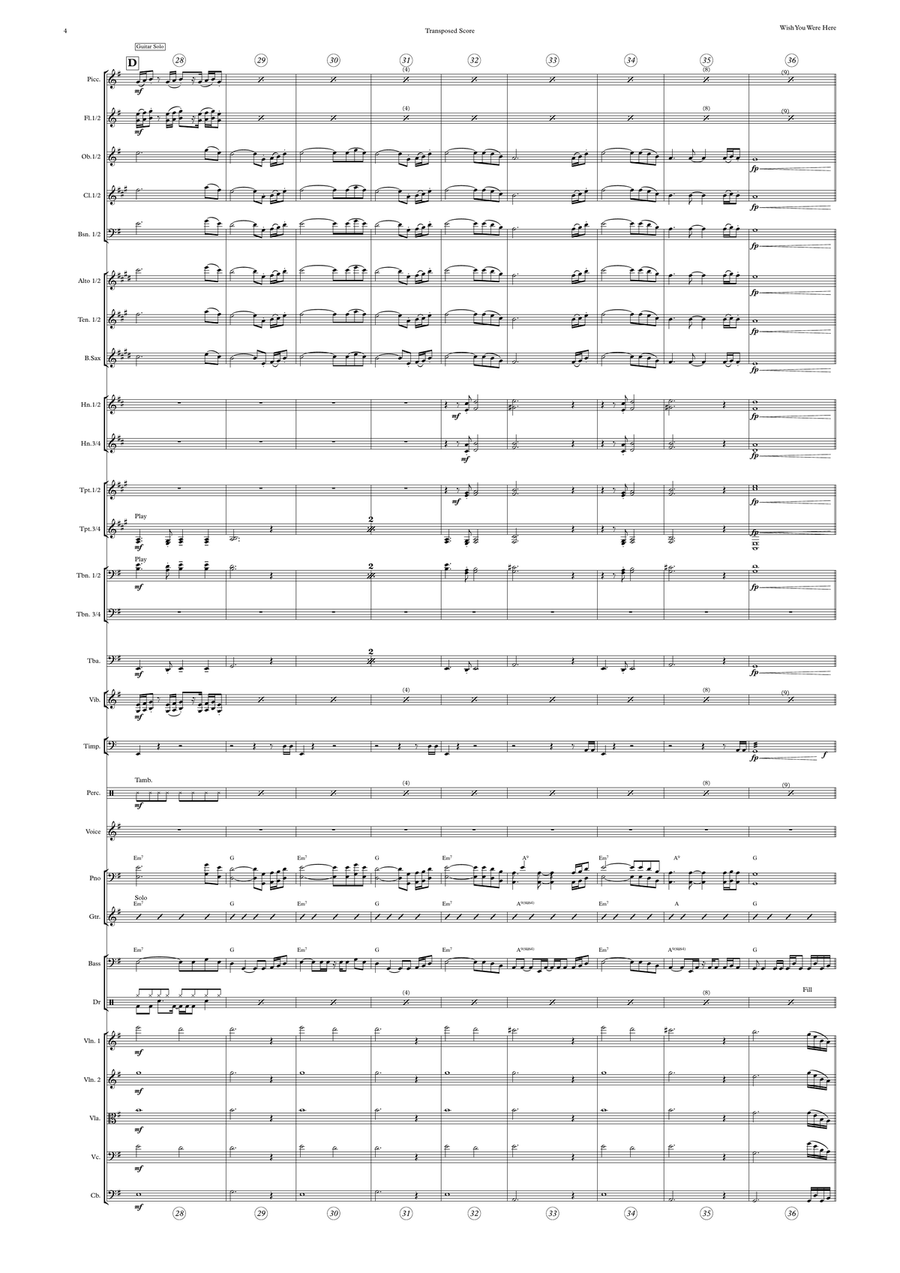 Wish You Were Here Full Orchestra scores gallery preview page 4