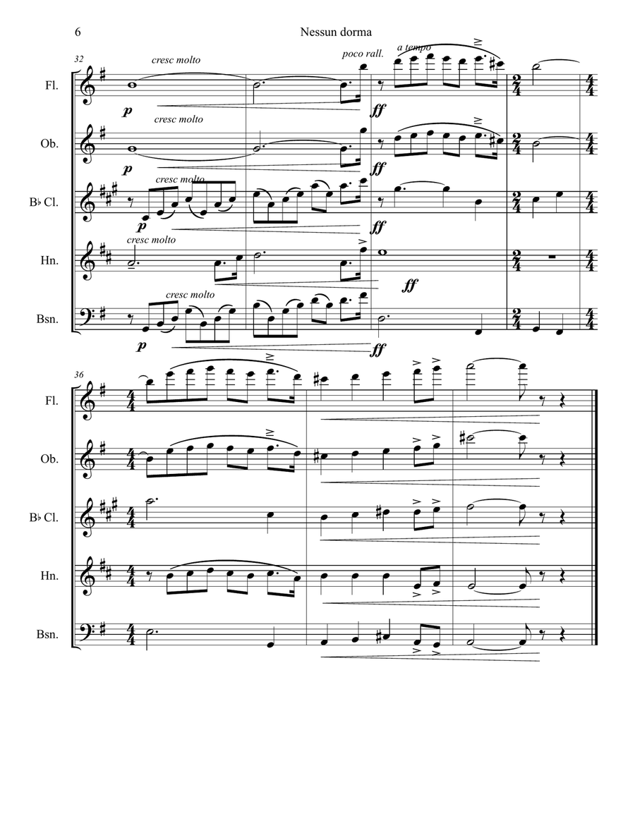 Nessun dorma from Turandot for Woodwind Quintet Woodwind Quintet scores gallery preview page 6