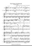 Eine Kleine Nachtmusik (1st Movement) for Flute and Cor Anglais Duet