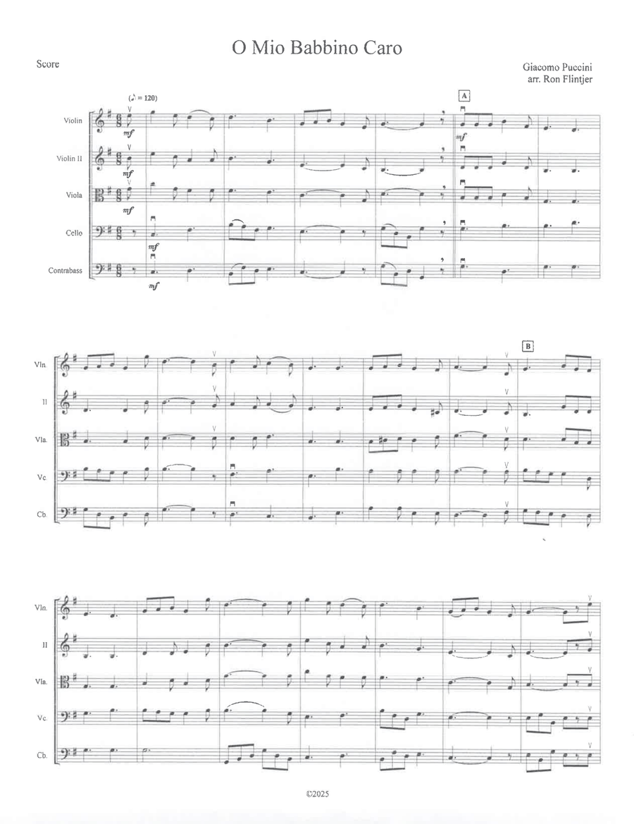 O Mio Babbino Caro String Orchestra scores gallery preview page 1