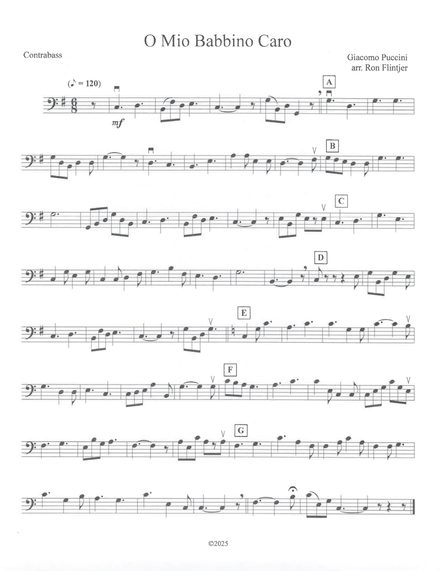 O Mio Babbino Caro String Orchestra scores gallery preview page 4
