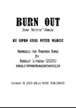 Burnout Flies - Score Only
