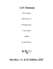 Trio sonata TWV 42 e11 (arrangement for 3 recorders (AAB))