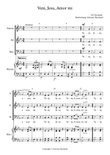 Veni Jesu Amor mi